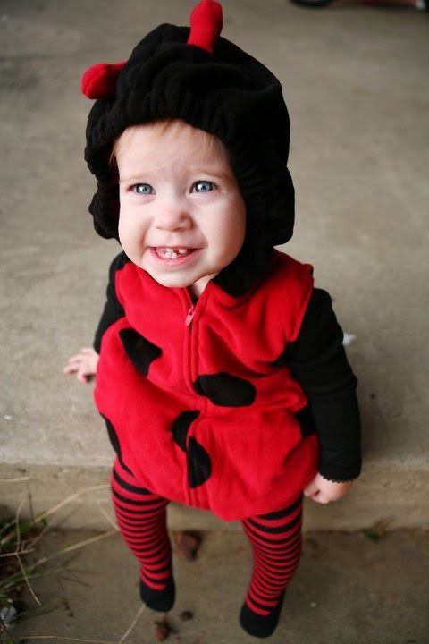 ladybug humidifier