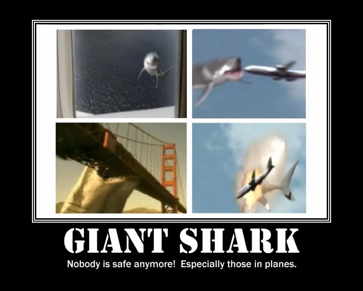 Giant Shark Pictures, Images and Photos