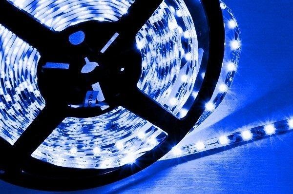 blue1_1.jpg