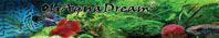 Oliaquadream