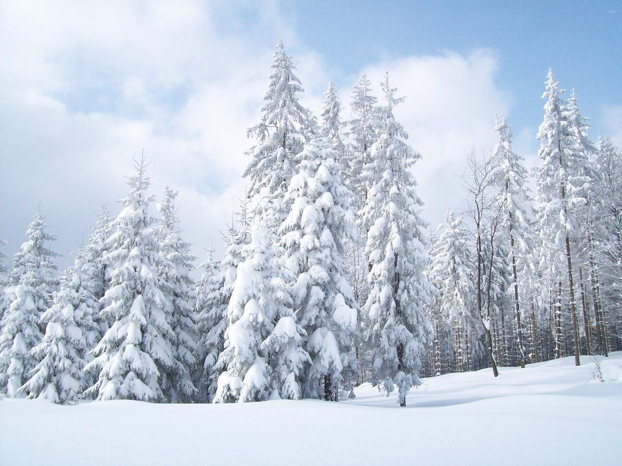  photo Snow_Landscape_by_ToumeiNingen_zpse1715f5e.jpg