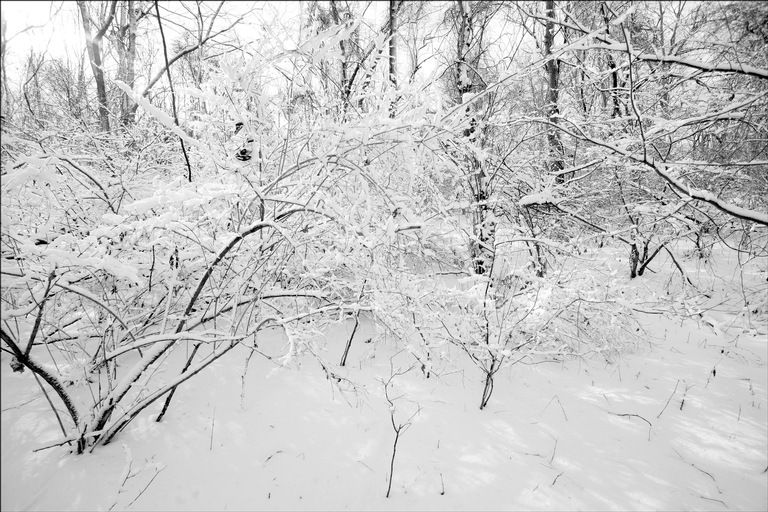  photo winter-landscape-snow-9_zpsedb9a6e1.jpg