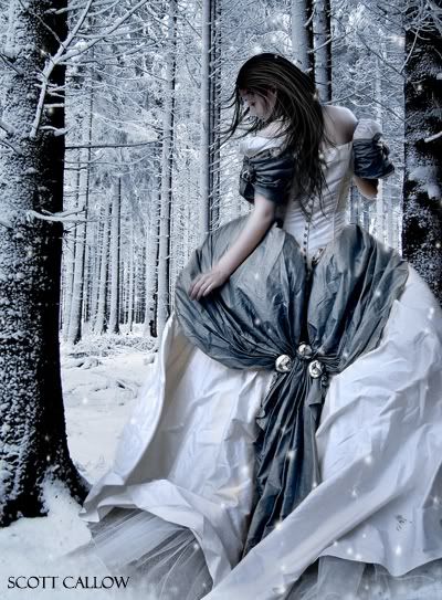 Winter, forest, woman in a wedding gown.