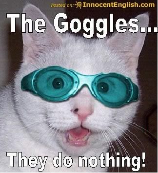 funny-cat-wearing-goggles.jpg