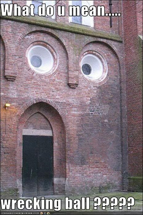 funny-pictures-wall-is-shocked.jpg