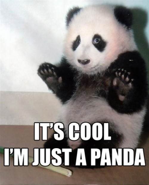 its-cool-im-just-a-panda-4607-12660.jpg