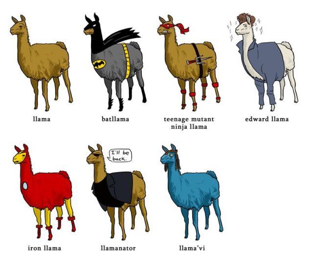 Llamas Pictures, Images and Photos