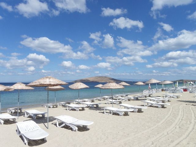 photo 1.jpg